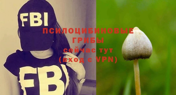 винт Алзамай