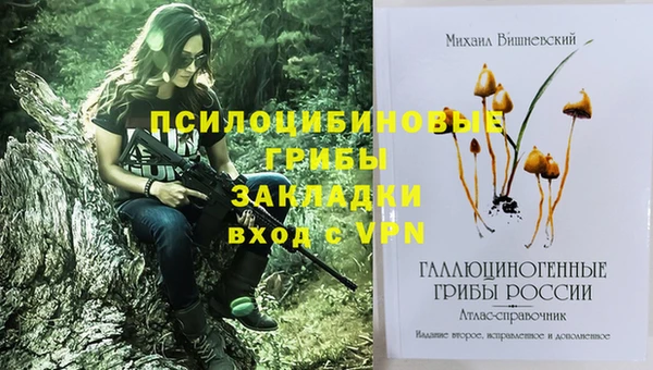 винт Алзамай