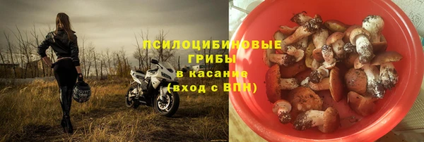 винт Алзамай